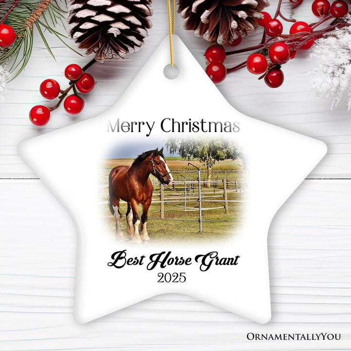 Personalized Horse Photo Ornament, Keepsake Picture Horse Lovers Gifts Ceramic Ornament OrnamentallyYou Star