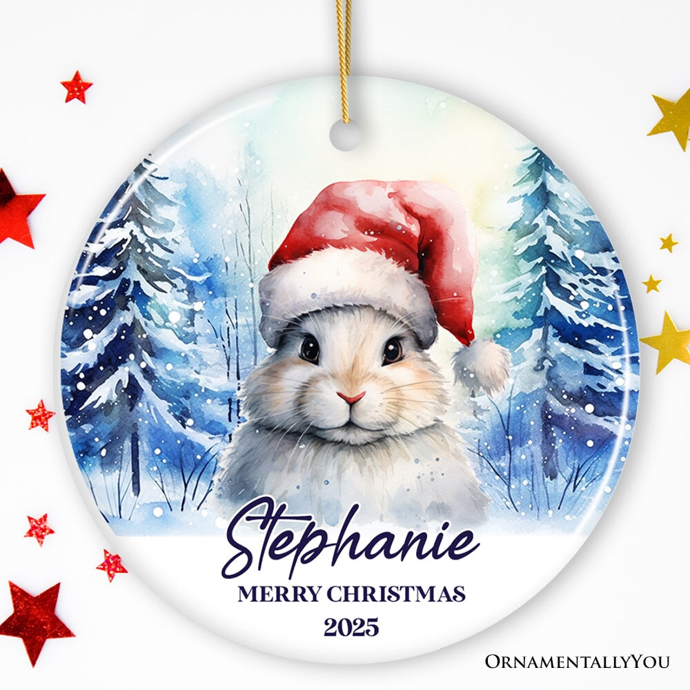 Cute Bunny with Santa Hat Personalized Ornament, Winter Forest Christmas Gift With Custom Name and Date Ceramic Ornament OrnamentallyYou Circle