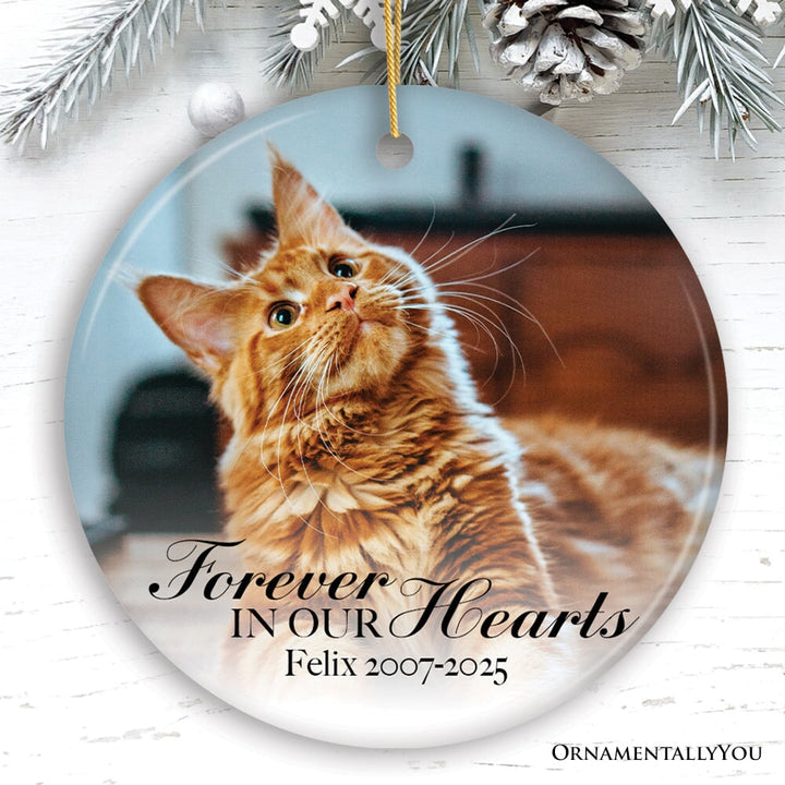 Dog Memorial Personalized Picture Ornament Ceramic Ornament OrnamentallyYou