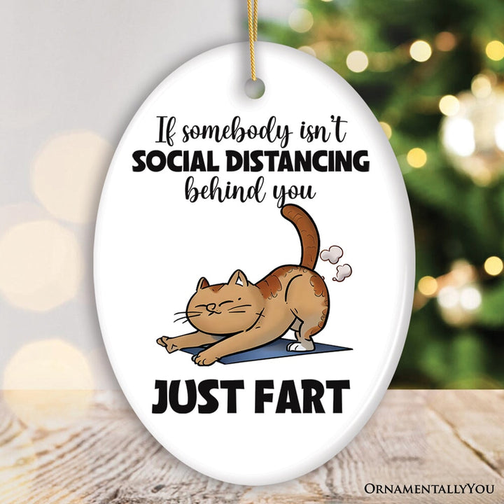 If Somebody Isn't Social Distancing Just Fart Quirky Cat, Cute and Funny Christmas Gift Ceramic Ornament OrnamentallyYou Oval