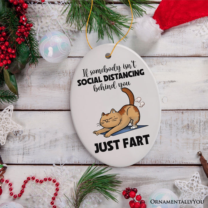 If Somebody Isn't Social Distancing Just Fart Quirky Cat, Cute and Funny Christmas Gift Ceramic Ornament OrnamentallyYou