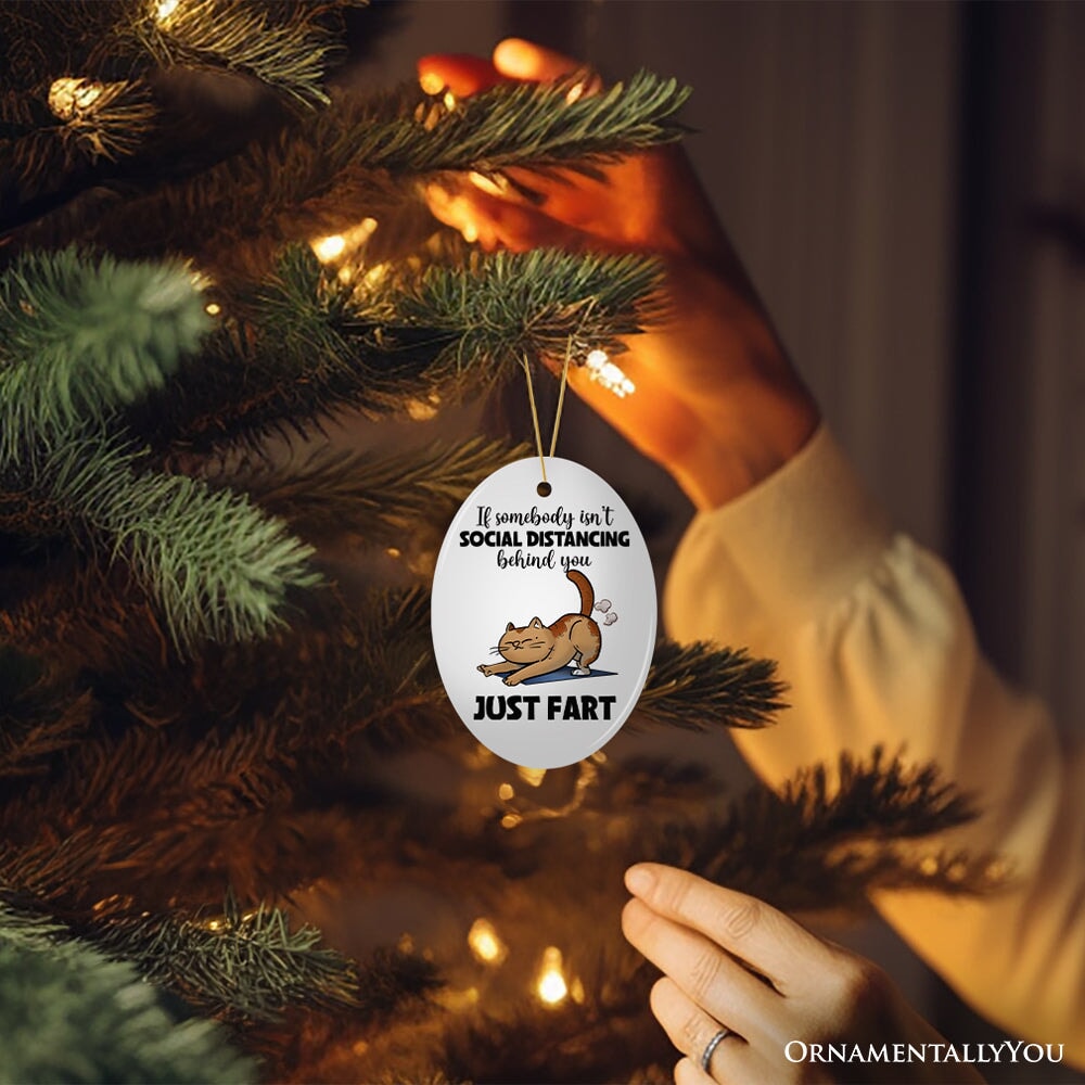 If Somebody Isn't Social Distancing Just Fart Quirky Cat, Cute and Funny Christmas Gift Ceramic Ornament OrnamentallyYou