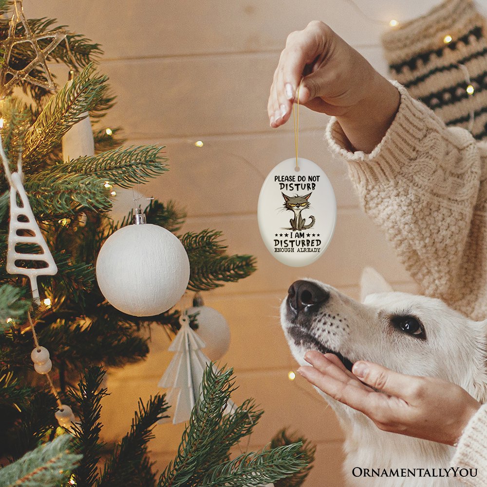 Please Do Not Disturb Quirky Cat Ornament, Cute and Funny Christmas Gift Ceramic Ornament OrnamentallyYou