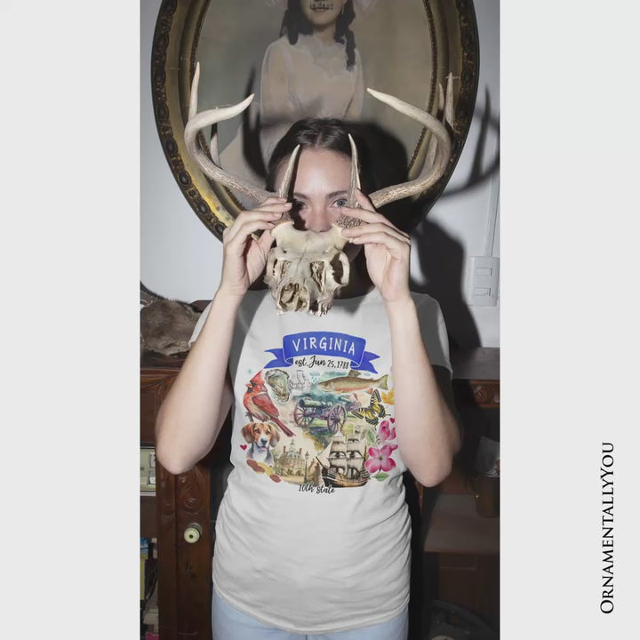 Artistic Virginia State Themes and Landmarks T-Shirt, Tee for History and Travel Lovers