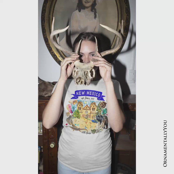 Artistic New Mexico State Themes and Landmarks T-Shirt, Tee for History and Travel Lovers