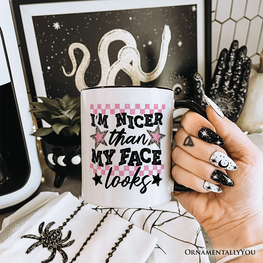 I'm Nicer Than My Face Looks Sarcastic Mug, Relatable Checkered Gift