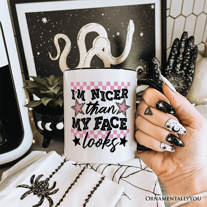 I'm Nicer Than My Face Looks Sarcastic Mug, Relatable Checkered Gift