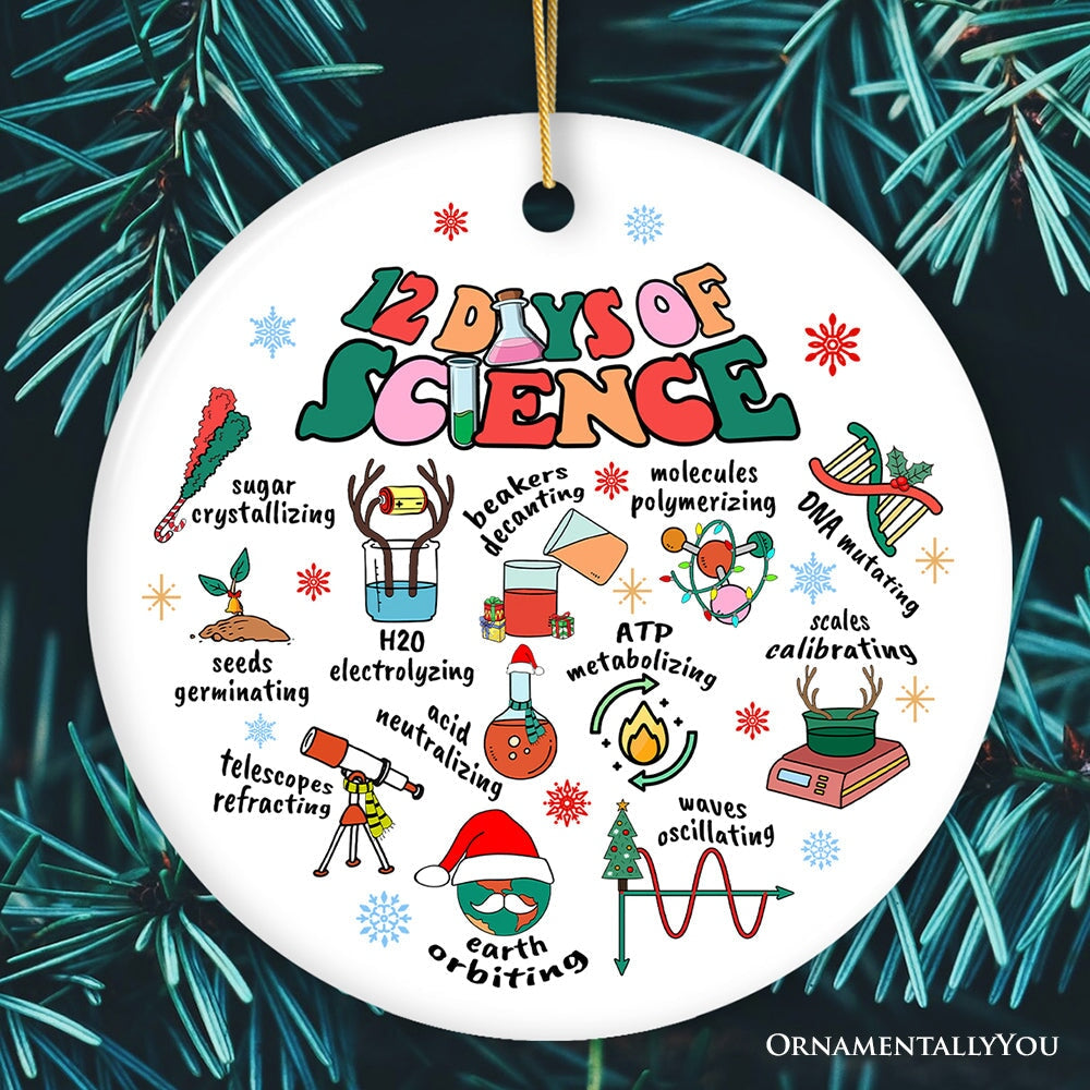 12 Days of Science Ornament, Christmas Gift for Scientist Nerd or Teacher Ceramic Ornament OrnamentallyYou Circle 