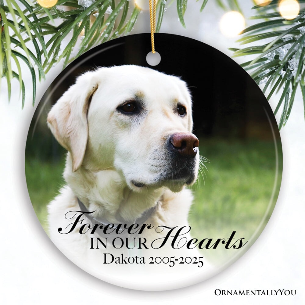 Dog Memorial Personalized Picture Ornament