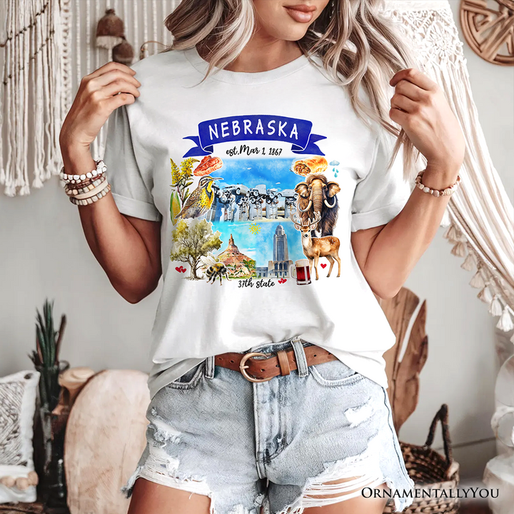 Artistic Nebraska State Themes and Landmarks T-Shirt, Tee for History and Travel Lovers