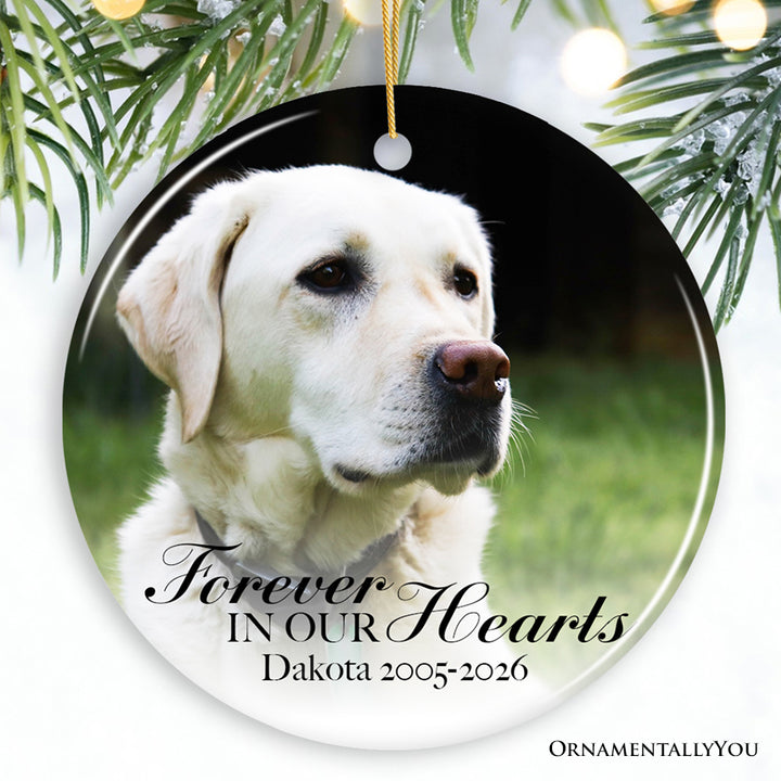 Dog Memorial Personalized Picture Ornament