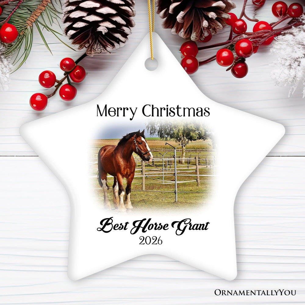 Personalized Horse Photo Ornament, Keepsake Picture Horse Lovers Gifts Ceramic Ornament OrnamentallyYou Star 