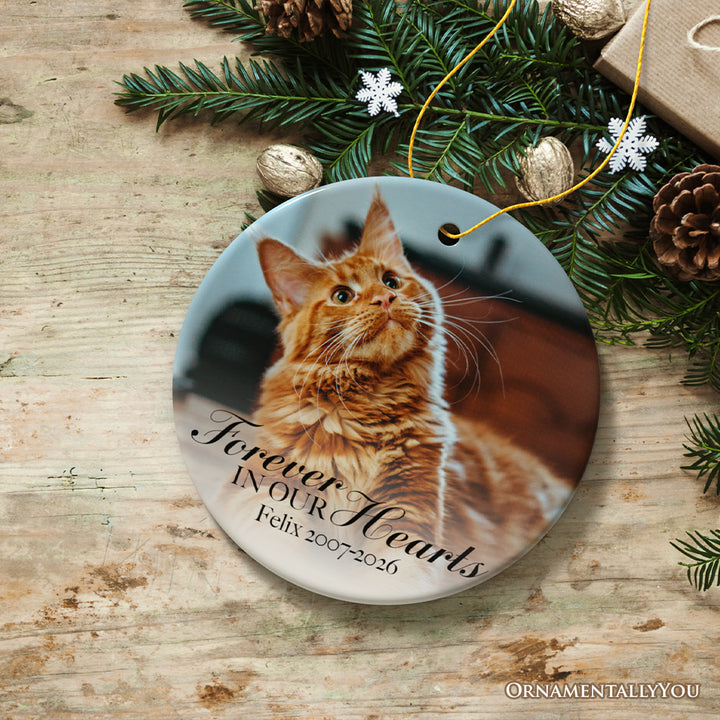 Dog Memorial Personalized Picture Ornament