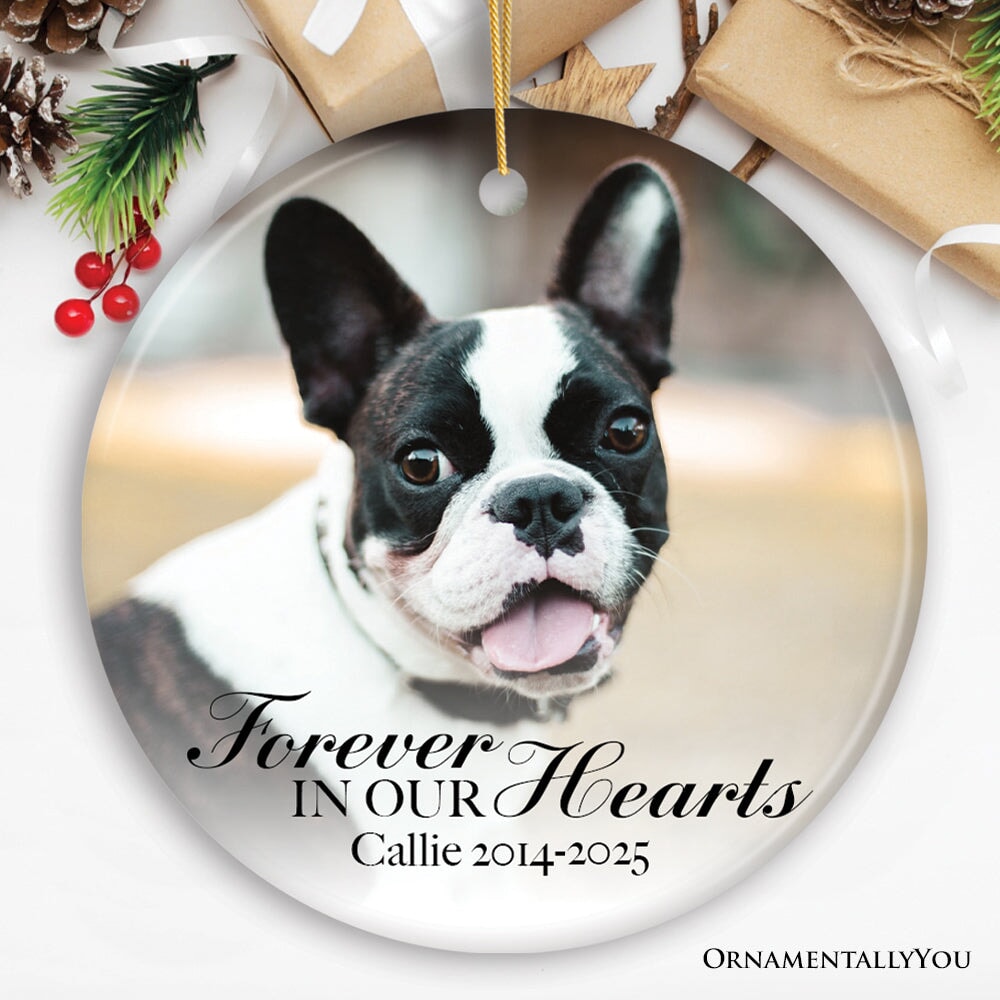 Dog Memorial Personalized Picture Ornament