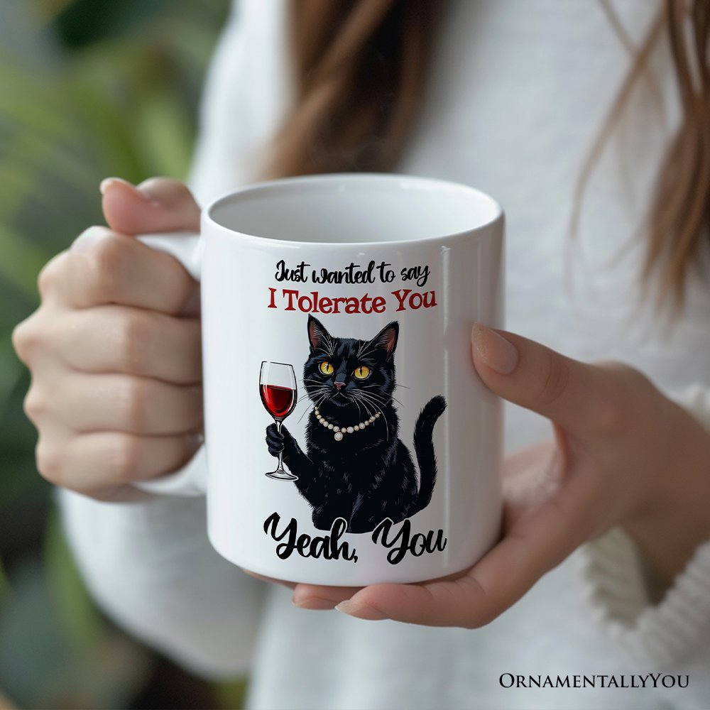Just Wanted to Say I Tolerate You Personalized Mug, Funny Sarcastic Black Cat Lover Gift With Custom Name Personalized Ceramic Mug OrnamentallyYou 