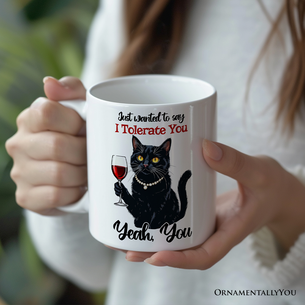 Just Wanted to Say I Tolerate You Personalized Mug, Funny Sarcastic Black Cat Lover Gift With Custom Name