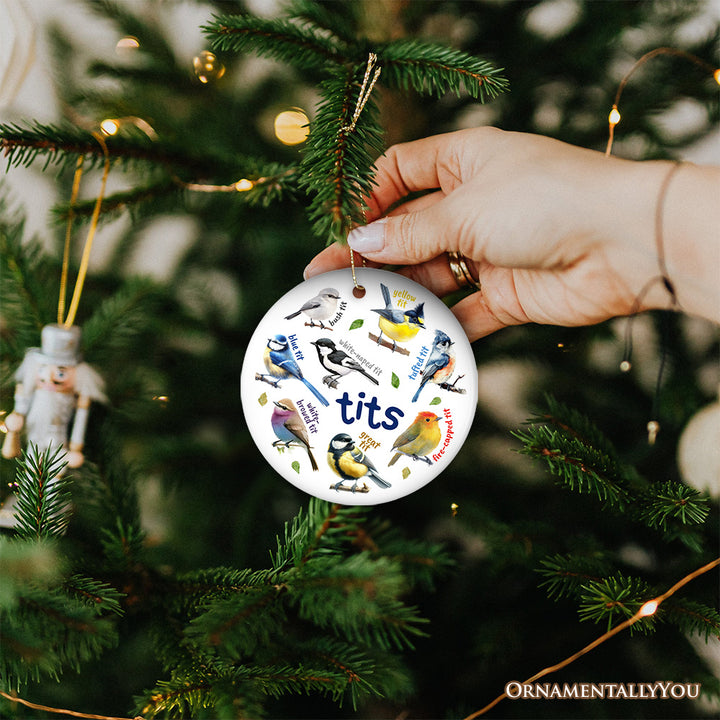 Whimsical Bird Tit Ceramic Ornament, Funny Birdwatcher Gift for Birder