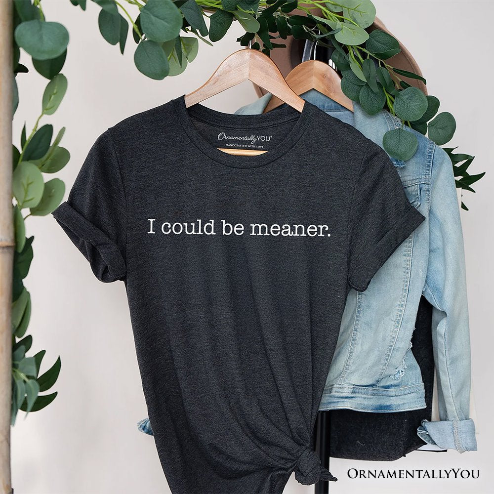 I Could Be Meaner T-Shirt, Sarcastic Quote Minimalist Tee T-Shirts OrnamentallyYou Gray XS 