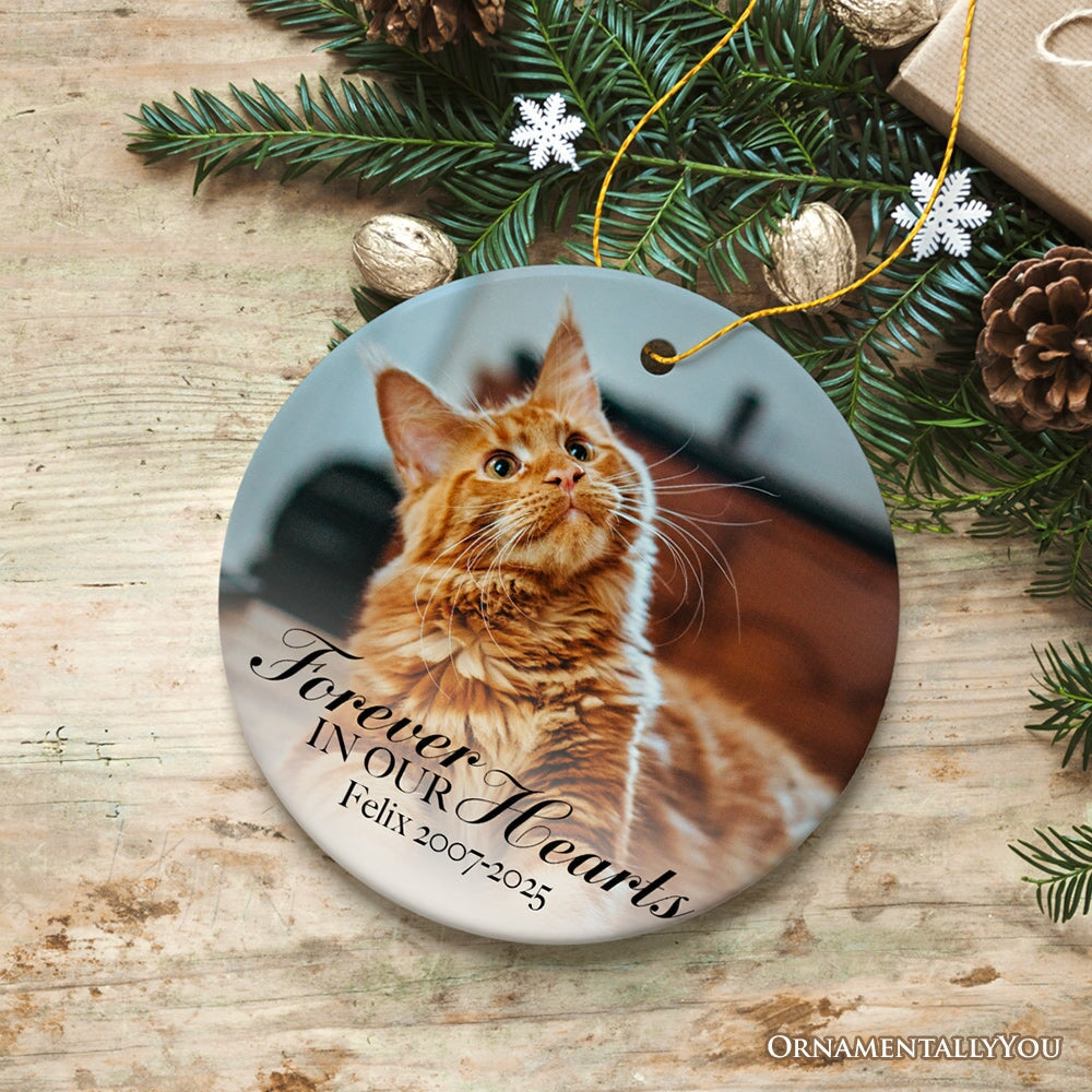 Dog Memorial Personalized Picture Ornament Ceramic Ornament OrnamentallyYou 