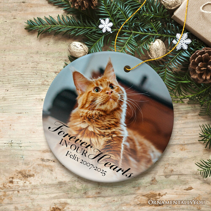 Dog Memorial Personalized Picture Ornament Ceramic Ornament OrnamentallyYou 