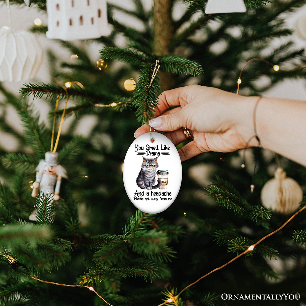 You Smell Like Drama Quirky Cat Ornament, Cute and Funny Christmas Gift Ceramic Ornament OrnamentallyYou 