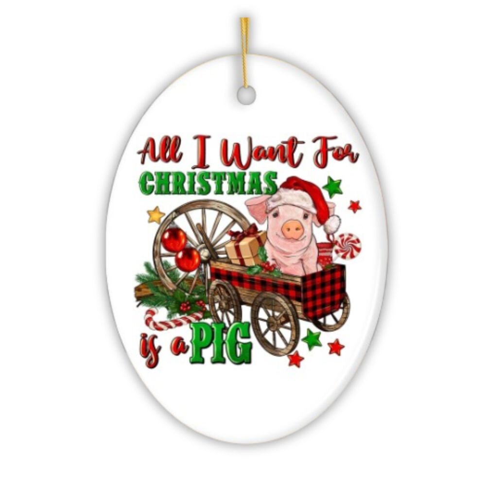 All I Want For Christmas is a Pig Cute Ornament Ceramic Ornament OrnamentallyYou 