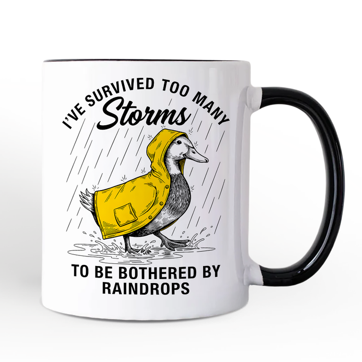 Goose Motivational Personalized Mug, Survived Too Many Storms Funny Quote Gift with Custom Name