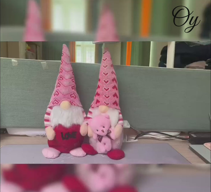 Pink Be My Valentine Gnome 2024 set