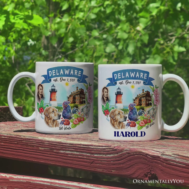 Artistic Delaware State Themes and Landmarks Personalized Mug With Custom Name