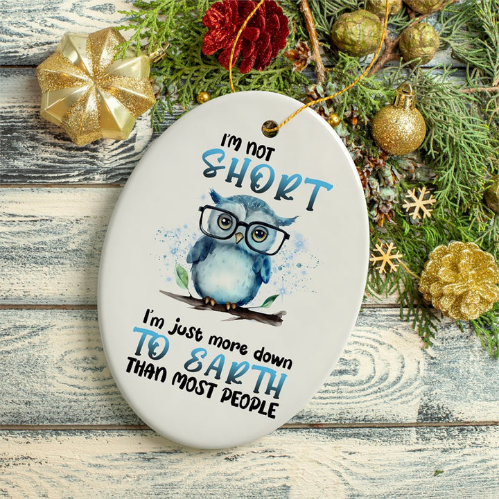 Down to Earth Owl Ceramic Ornament, Cute and Funny Christmas Gift Ceramic Ornament OrnamentallyYou 