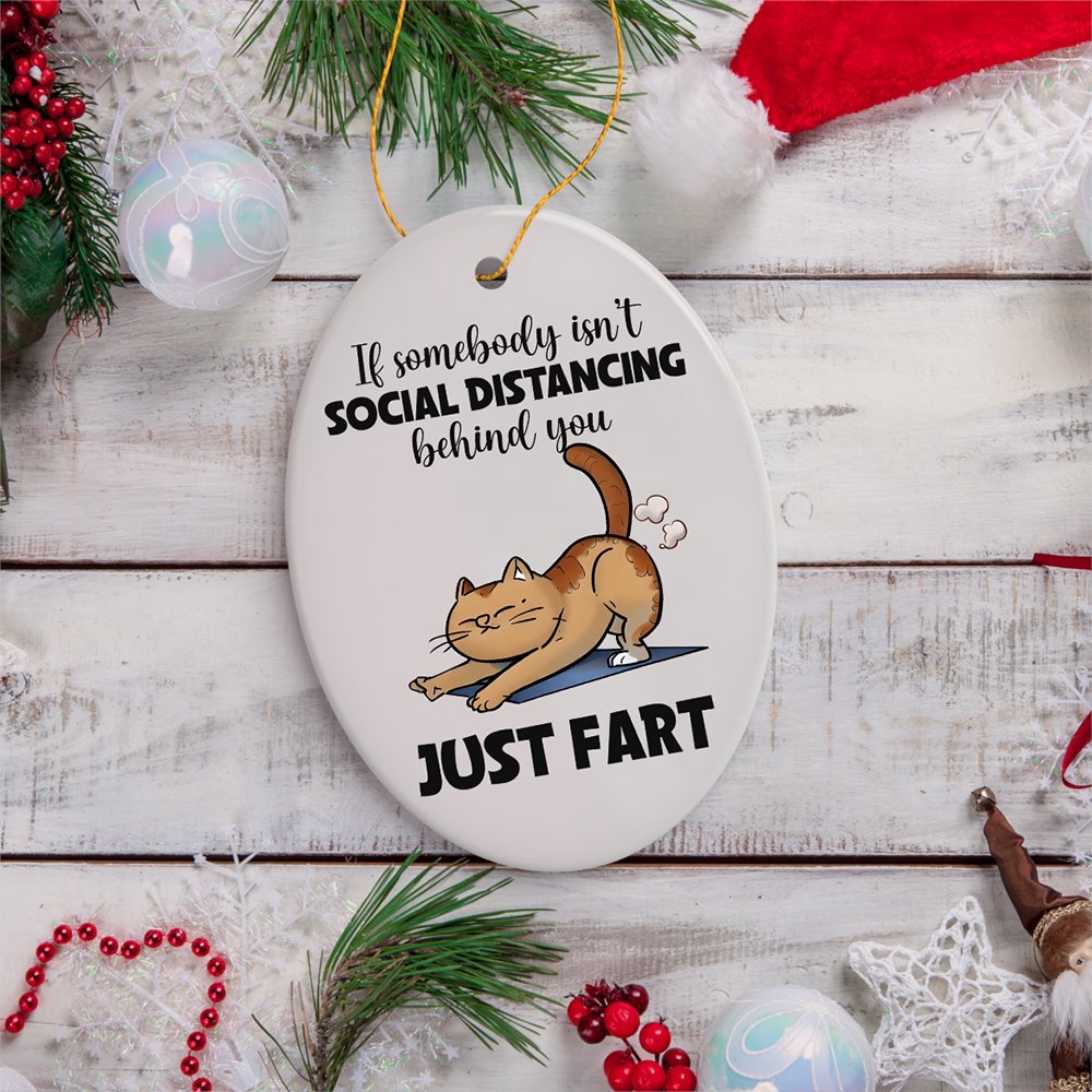 If Somebody Isn't Social Distancing Just Fart Quirky Cat, Cute and Funny Christmas Gift Ceramic Ornament OrnamentallyYou 