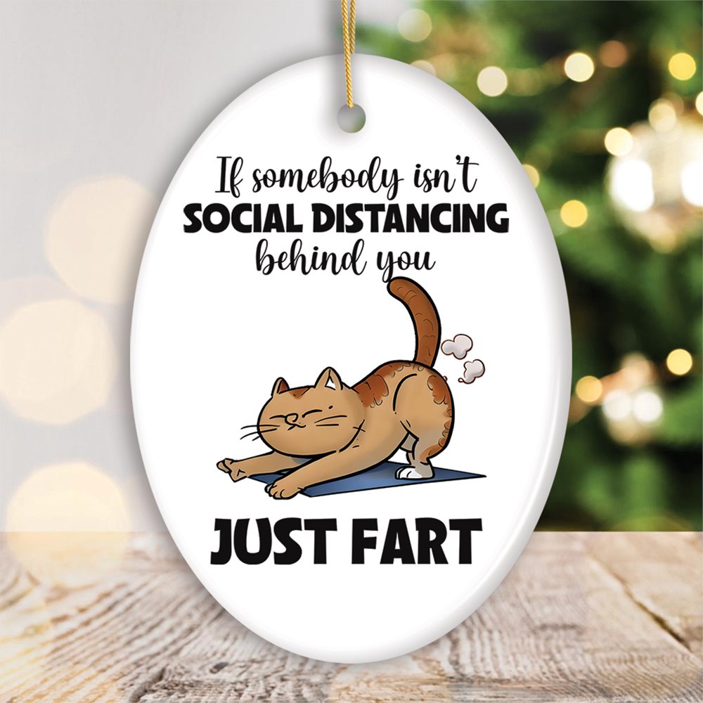 If Somebody Isn't Social Distancing Just Fart Quirky Cat, Cute and Funny Christmas Gift Ceramic Ornament OrnamentallyYou Circle 