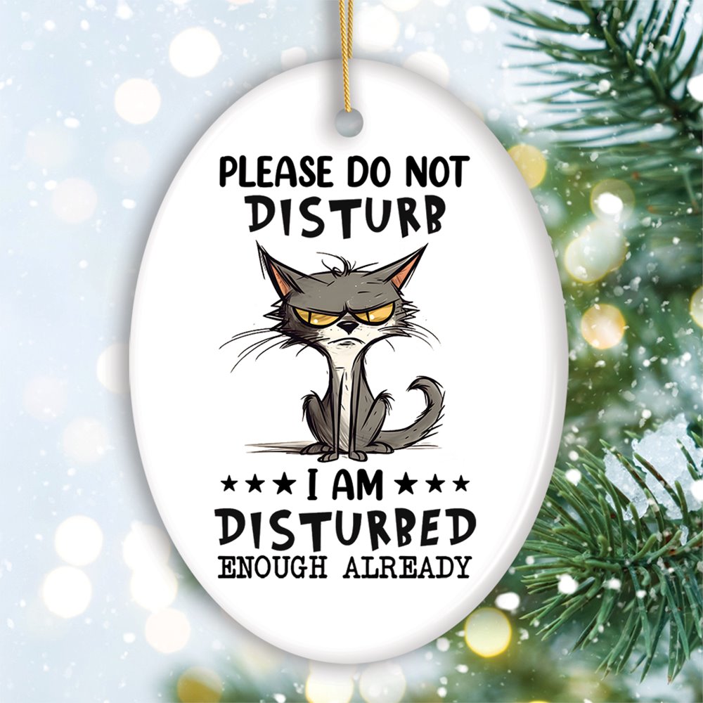 Please Do Not Disturb Quirky Cat Ornament, Cute and Funny Christmas Gift Ceramic Ornament OrnamentallyYou Oval 