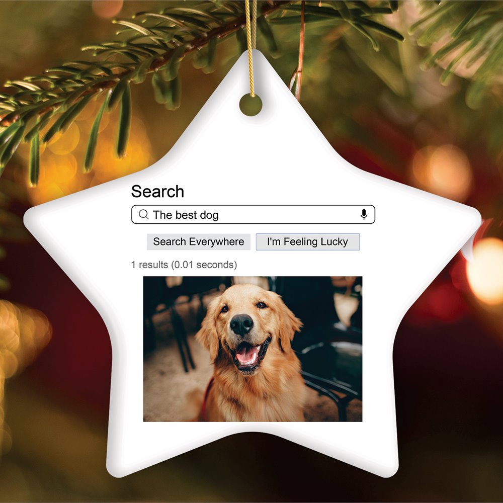 Search Engine Results Photo Personalized Ornament, Corky and Sentimental, Whimsical Christmas Gif Ceramic Ornament OrnamentallyYou Star 
